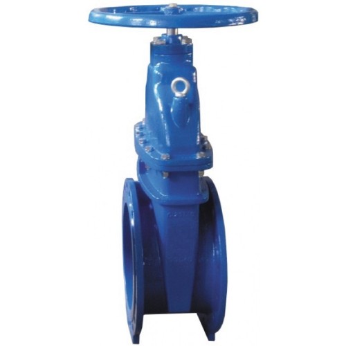 Задвижка клиновая чугунная фланцевая с обрезиненным клином Ру 16 R55F Giacomini 50 мм